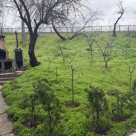 Casawyw 1 Apartment Craiova